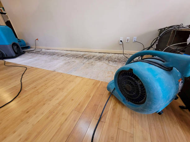 Reliable Basement Flood Cleanup contractor in Durant, OK by Hirex Water Damage