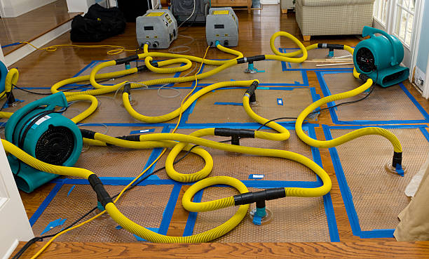 Professional Basement Flood Cleanup technician working in Durant, OK
